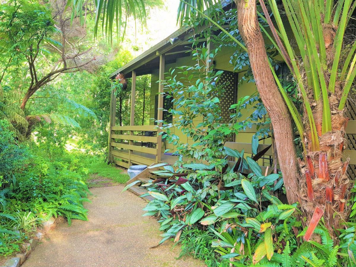 Broken River Mountain Resort Eungella Exteriér fotografie